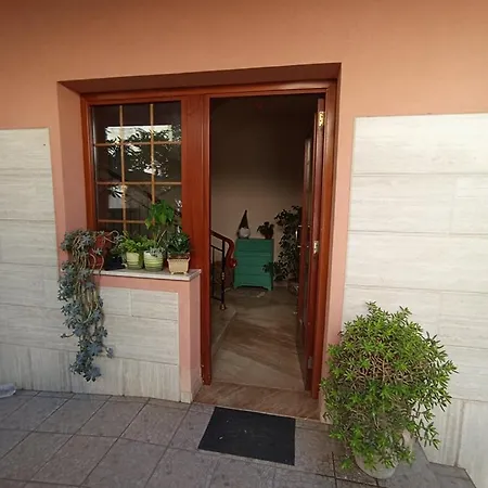 L'angolo Rosa *
